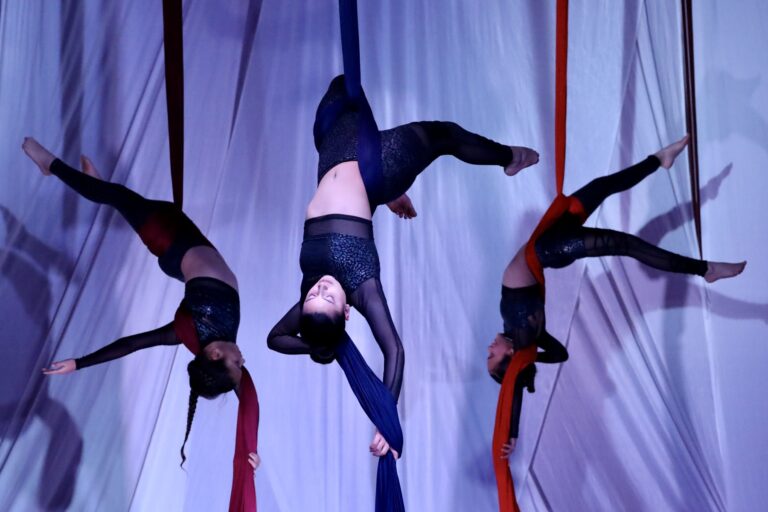 Circus Arts Showcases